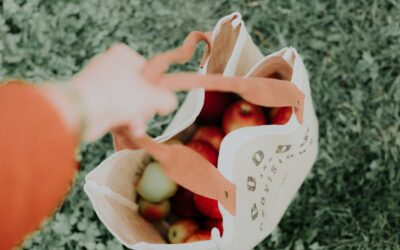 3 Simple Tips for Cutting Your Monthly Expenses