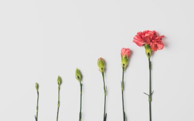How to Invest Your Money for Maximum Returns